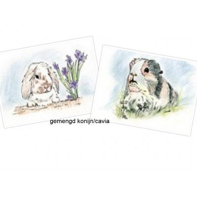 gemengd konijn cavia kleur